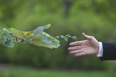 scope 3 emissions commitment handshake